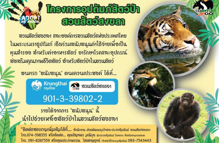 องค์การสวนสัตว์แห่งประเทศไทยฯ จัดทำโครงการอุปถัมภ์สัตว์ป่า พร้อมชวนปันน้ำใจช่วยเหลือสัตว์ป่าภายในสวนสัตว์ทั่วประเทศ